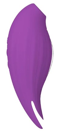 THE KISSER MASSAGER - Image 7